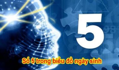 Ý Nghĩa Số 5 Trong Biểu Đồ Ngày Sinh Thần Số Học