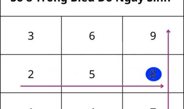 Ý nghĩa của số 8 trong biểu đồ ngày sinh