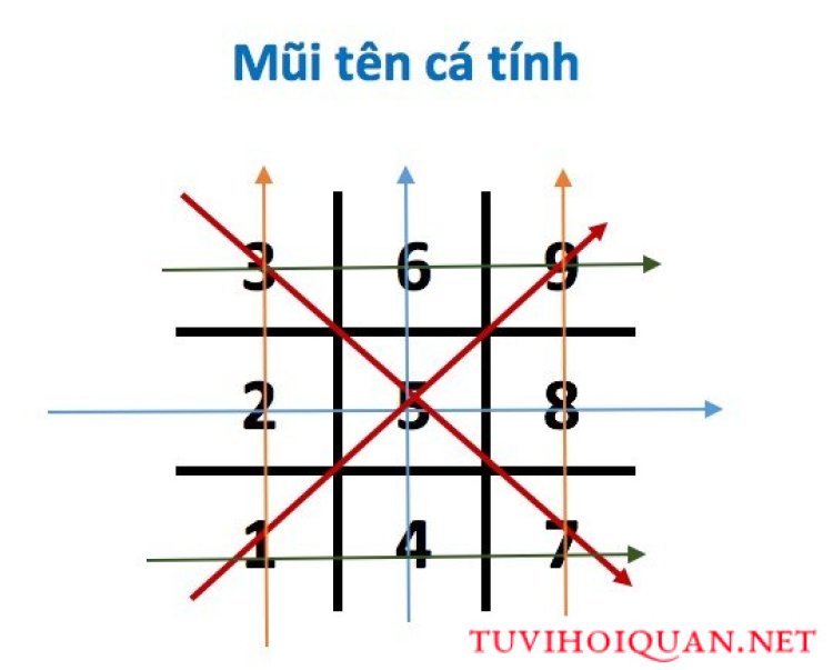 Mũi tên cá tính- đường cá tính