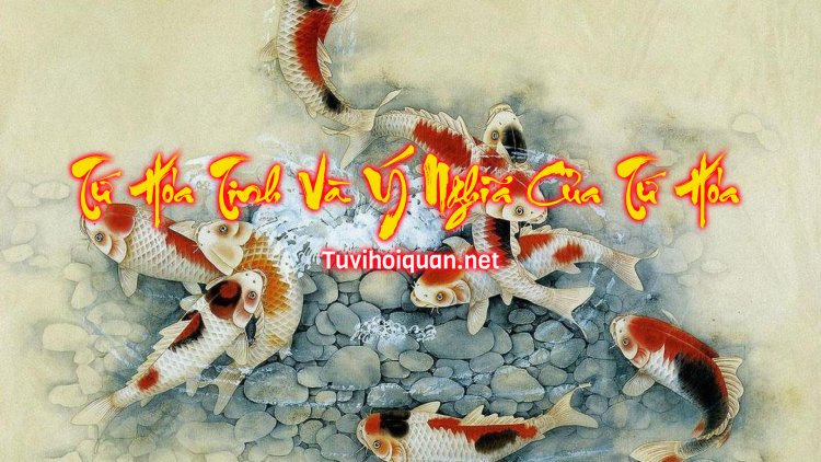 Tứ Hóa Tinh là gì và ý nghĩa của tứ hóa trong tử vi