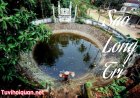 Luận Giải Ý Nghĩa Sao Long Trì Ở Mệnh Và Các Cung Khác Trong Tử Vi Chính Xác Nhất