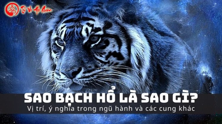 Luận Giải Ý Nghĩa Sao Bạch Hổ Ở Mệnh Và Các Cung Trong Tử Vi Chi Tiết Nhất Mới Cập Nhật