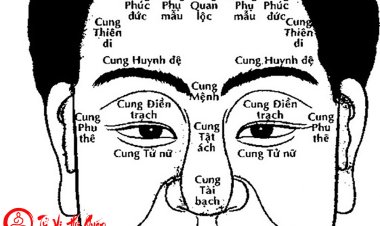 Thơ Phú 12 Cung Tướng Trên Khuôn Mặt Đầy Đủ Nhất