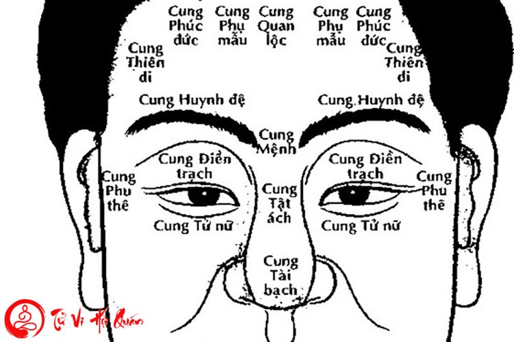 Giải mã ý nghĩa 12 cung trên khuôn mặt theo nhân tướng học