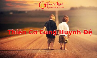 Thiên Cơ Nhập Cung Huynh Đệ Có Ý Nghĩa Như Thế Nào