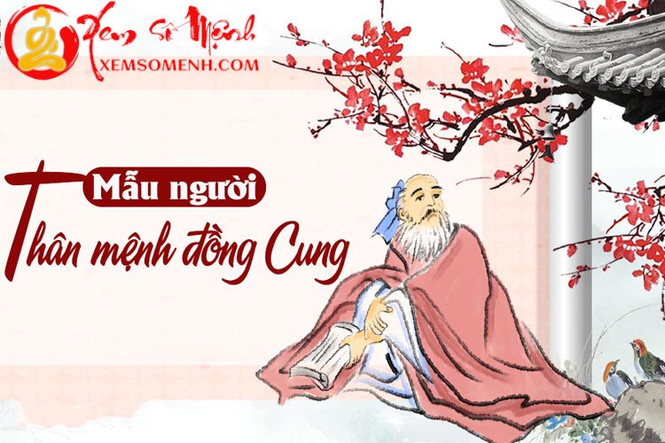 Luận giải chi tiết về mẫu người có Thân Mệnh đồng cung