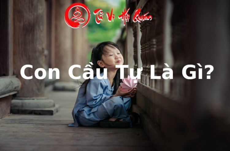 Con cầu tự là gì và có khó nuôi không?