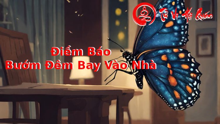 Bướm bay vào nhà là báo hiệu điềm gì