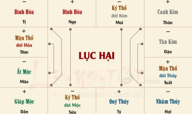 Lục hại là gì? Làm thế nào để hóa giải Lục hại ?