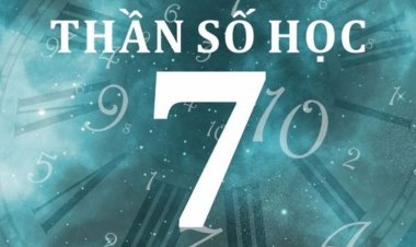 Số chủ đạo số 7 trong thần số học là gì? Đặc điểm nổi bật và ý nghĩa số 7 trong các chỉ số