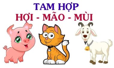 Tam hợp Hợi Mão Mùi - Bộ ba lịch thiệp và ngoại giao tốt