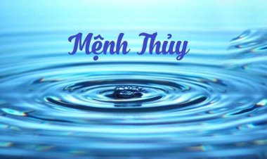 Mệnh Thủy là gì? Tất tần tật về người mạng Thủy để làm chủ cuộc sống thịnh vượng, giàu sang