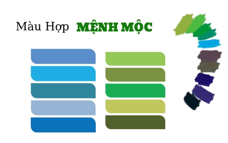 Mệnh mộc hợp với màu gì?