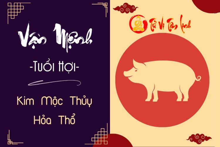 vận mệnh tuổi Hợi theo ngũ hành