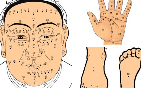 Xem Bói Nốt Ruồi Toàn Thân Nam & Nữ Chính Xác 100%