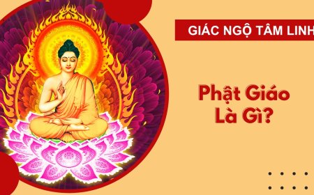 Phật giáo là gì: Khám phá sâu sắc về đạo Phật