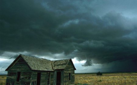 Nằm Mơ Thấy Lốc Xoáy, Giông Bão - Giải Mã Ý Nghĩa Chính Xác Nhất