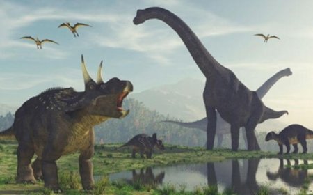 Nằm Mơ Thấy Khủng Long - Giải Mã Ý Nghĩa Chi Tiết Nhất