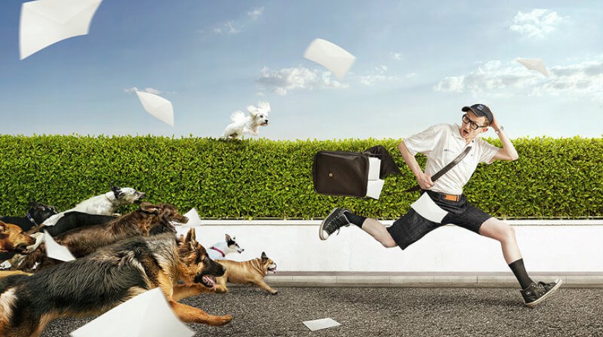 Nằm Mơ Thấy Bị Chó Cắn, Chó Tấn Công Có Ý Nghĩa Như Nào