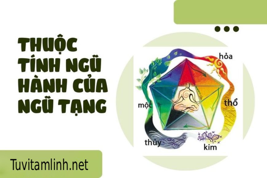 Thuộc Tính Ngũ Hành Của Ngũ Tạng : Bí mật cân bằng cơ thể theo học thuyết Đông y cổ truyền