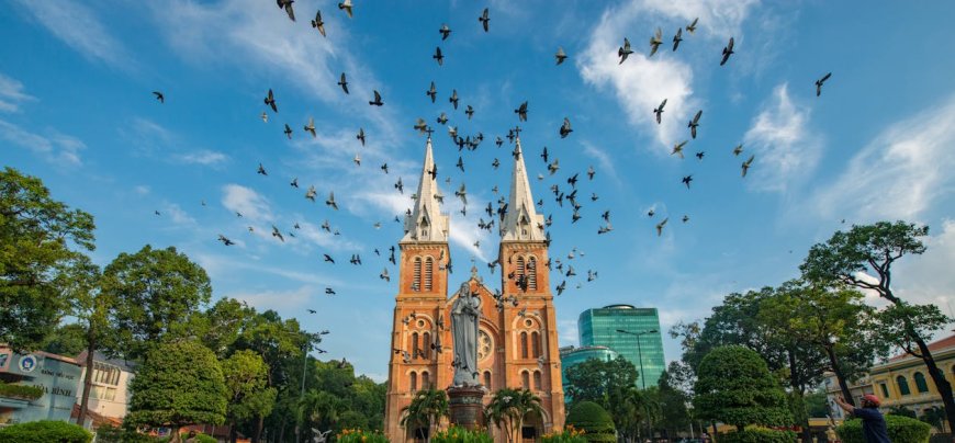Dream of a flock of pigeons