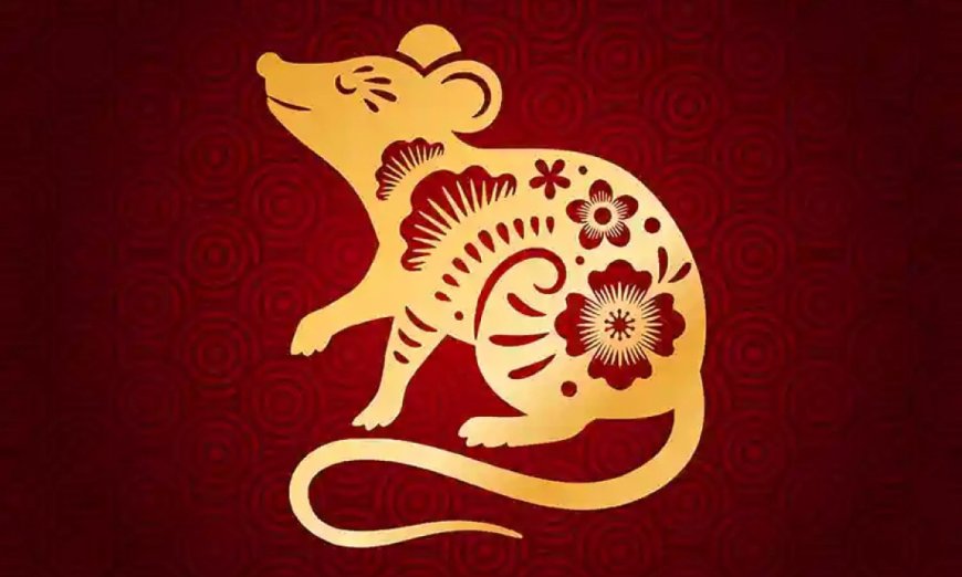 Xem Tử Vi Người Tuổi Tý Dựa Vào Giờ, Ngày, Tháng Sinh Chi Tiết