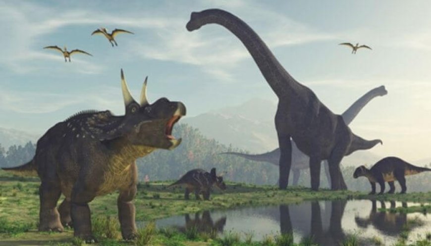 Nằm Mơ Thấy Khủng Long - Giải Mã Ý Nghĩa Chi Tiết Nhất